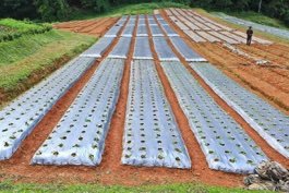 Agricultural film made from upcycled coal waste composite material